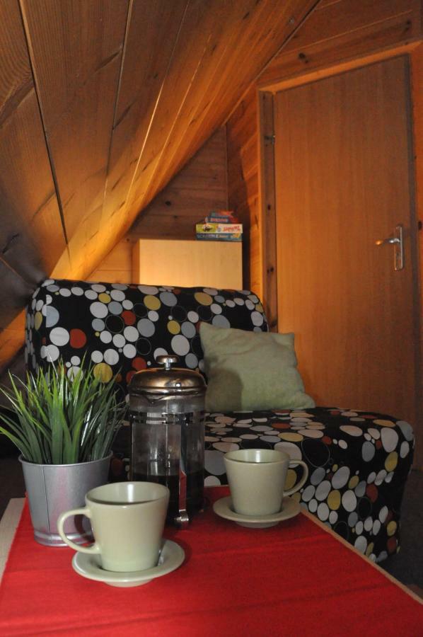 Apartament 33.13.A. Zakopane Ngoại thất bức ảnh